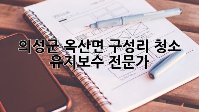 의성군 옥산면 구성리 청소 유지보수 전문가