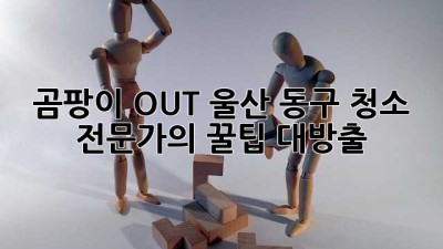 곰팡이 OUT! 울산 동구 청소 전문가의 꿀팁 대방출 ✨